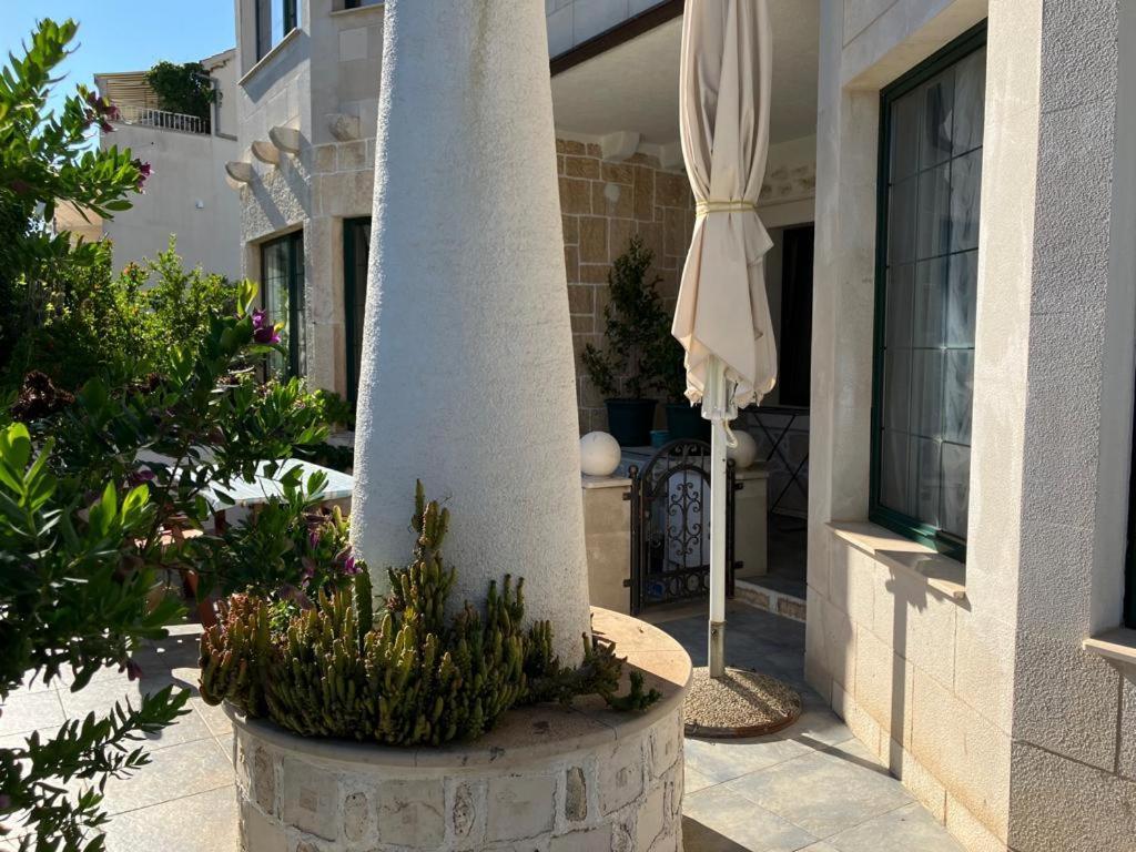Apartments Villa Domus Marini Hvar Town Pokój zdjęcie